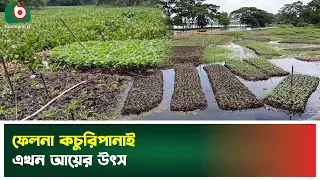 ব্যতিক্রমী ভাসমান বেডে সবজি চাষে সফল শতাধিক কৃষক | Chandpur | Boishakhi TV News