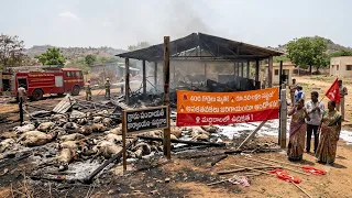 🚨 రైలు ప్రమాదంలో 400 గొర్రెలు మృతి! 😢 రూ.50 లక్షల నష్టం.. ప్రభుత్వం ఆదుకోవాలని డిమాండ్....| BT