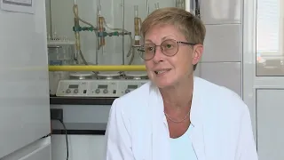 Povećana koncentracija polena u vazduhu