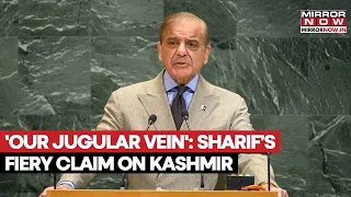Pak PM Sharif Raises Kashmir Issue At UNGA, Says 'Will Be Pakistan's Jugular Vein'