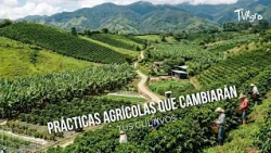 Agricultural practices that will change your crops - TvAgro by Juan Gonzalo Angel
