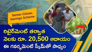 Senior Citizen Savings Scheme Get 20k Interest For One Time Investment