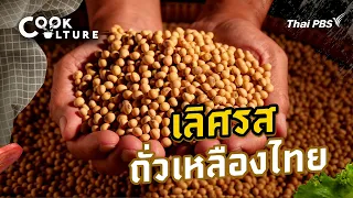 เลิศรส ถั่วเหลืองไทย | Cook Culture