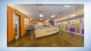 Animal Humane New Mexico celebrating ten years at the Westside Adoption Center