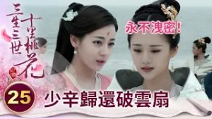 她跟玄女不一樣！少辛雖為了愛情背叛姑姑 但從未做出恩將仇報的事【三生三世十里桃花】精華 EP25-8 楊冪、趙又廷、迪麗熱巴、高偉光、張智堯 @ctvdrama_classic