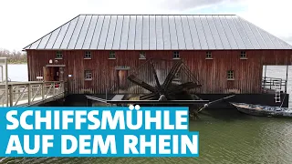 Einmalige historische Schiffsmühle in Ginsheim: Mehl mahlen auf dem Rhein