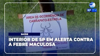 RF News - SP registra 18 mortes por febre maculosa em 19 casos confirmados