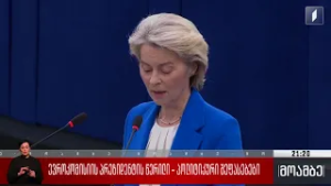 ევროკომისიის პრეზიდენტის წერილი - პოლიტიკური შეფასებები