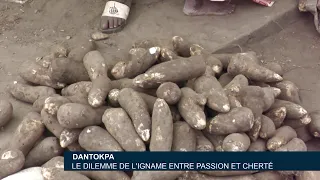 Dantokpa: The Yam Dilemma—Between Passion and High Prices