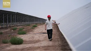 KEKEYA MIRACLE: On the Desert Frontline