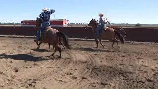 Sacramento County Sheriff’s Rodeo takes over Folsom this weekend