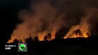 Top Channel/ Zjarri përfshinë edhe Dukatin, banorët pikasin vatrat, kërkojnë ndihmë nga autoritetet