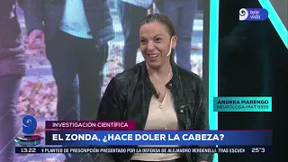 El Zonda ¿provoca dolor de cabeza?