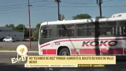 Aumentó el colectivo KoKo en el Valle Medio: las tarifas subieron un 6,54 %