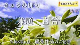 Today's Haiku (Broadcast June 2026): "Lily" (Part 2)