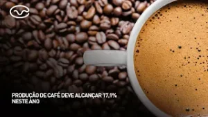 Produção de café deve alcançar 17,1% neste ano