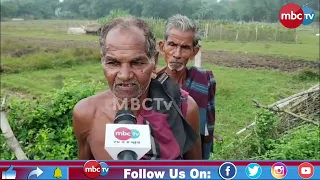 🔴 ବାରମ୍ବାର ବନ୍ୟାରେ ବେହାଲ ବାଙ୍କୀ, ଉଜୁଡ଼ିଲା ଚାଷ, ଚିନ୍ତାରେ ଚାଷୀ