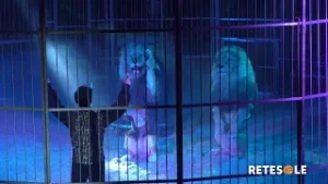 Cral Dipendenti Roma Capitale: la magia del Rony Roller Circus per adulti e bambini