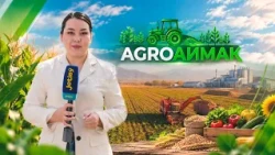 Жетісу - аграрлы өлке / Agro аймақ / 20.10.2026