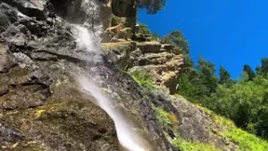 Nasehat untuk Hamba 5 Perkara yang Dicintai dan Dilupakan