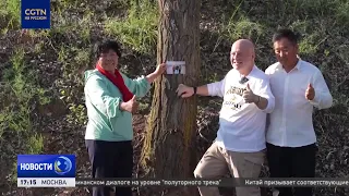 After 26 years, an American teacher returned to Maowusu and saw the desert turn into a forest