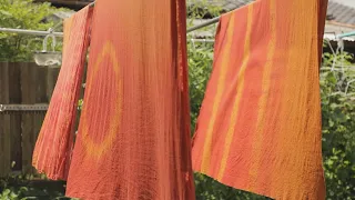 Natural Dye Artisan | Colors of My Hometown