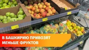 В Уфу стали привозить меньше фруктов из-за границы. Почему так?