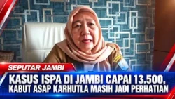 ARI CASES IN JAMBI REACH 13,500, HAZE FROM FOREST FIRES REMAINS A CONCERN