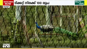 തൃശൂർ സുവോളജിക്കൽ പാർക്ക്; ശനിയാഴ്ച മുതൽ പൊതുജനത്തിന് തുറന്നു നൽകും