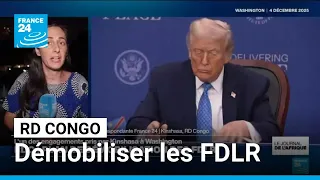 RD Congo : un protocole pour démobiliser les rebelles rwandais des FDLR • FRANCE 24