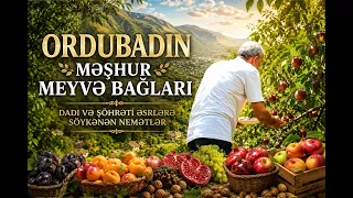 Ordubadın məşhur meyvə bağları – dadı və şöhrəti əsrlərə söykənən nemətlər