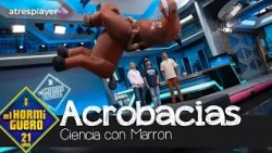 Un espectáculo de acrobacias: animales, giros y saltos a cámara superlenta - El Hormiguero