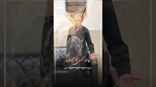 اگر جای داور بودی؟ | با حال مناسب ببینید!