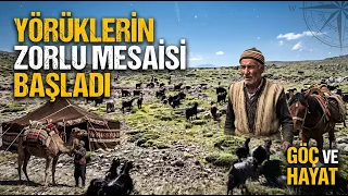 YÖRÜKLERİN ZORLU MESAİSİ BAŞLADI @Kanal33mersin