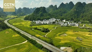 China expects full grain harvest for 2026, with steady progress in rural development