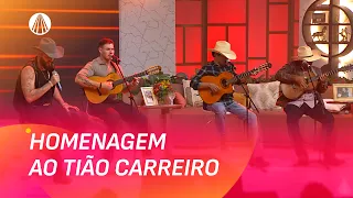 SUCESSOS eternizados por TIÃO CARREIRO reunidos em um só vídeo | Aparecida Sertaneja