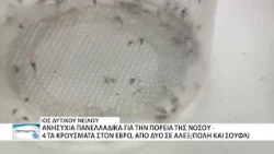 Πανελλαδική ανησυχία για τον Ιό Δυτικού Νείλου: Χαμηλά σε κρούσματα ο Έβρος