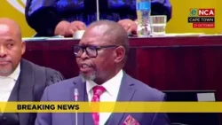 Finance Minister Godongwana announces fuel levy reduction