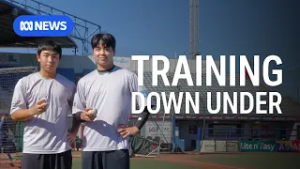 Why South Korean baseball stars are flocking to Australia | ABC News