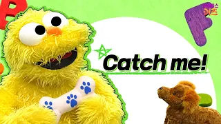 Catch me! | Basic English for Kids | Good Morning English | TV Kindergarten | KBS Broadcast