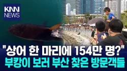 'Bukang-i’s Month-Long Stay' Draws 1.54 Million Visitors / KNN