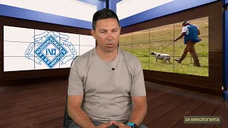 Мирослав Ненковски за Кампо Феличе: Състезанието, което събира най-добрите пойнтери и сетери в света