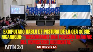 Former Lawmaker Discusses OAS Stance on Nicaragua: "There is a Unanimous Position in the Region"