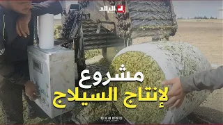 "Silage" Production in Khenchela: Promising Agricultural Experiments Awaiting Support