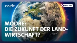 Moore: Die Zukunft der Landwirtschaft? | Podcast ARD Klima Update | MDR