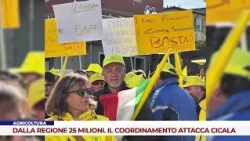 AGRICULTURE. 25 MILLION FROM THE REGION. THE COORDINATION COMMITTEE ATTACKS CICALA