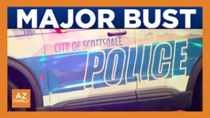 173 arrested in major human trafficking operation in Scottdale