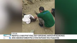 Νεκρός ο ακρωτηριασμένος Μαυρόγυπας από πρόσκρουση σε ανεμογεννήτρια
