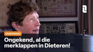 Óngerwaeg leert in Dieteren alles over een stoplap
