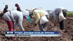 Drogas, principal causa de defectos de nacimiento